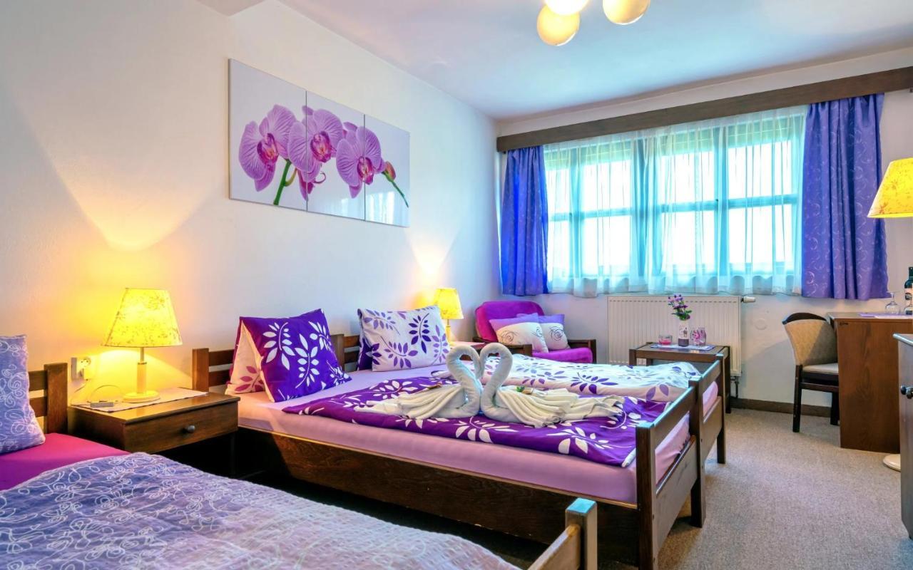 Hotel Stará škola na Šumavě Hořice na Šumavě Exteriér fotografie