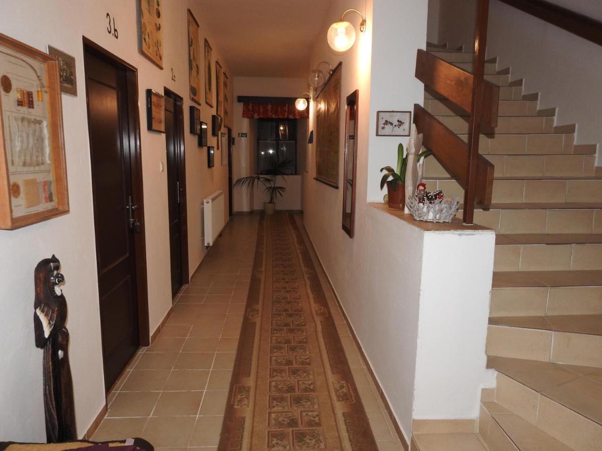 Hotel Stará škola na Šumavě Hořice na Šumavě Exteriér fotografie