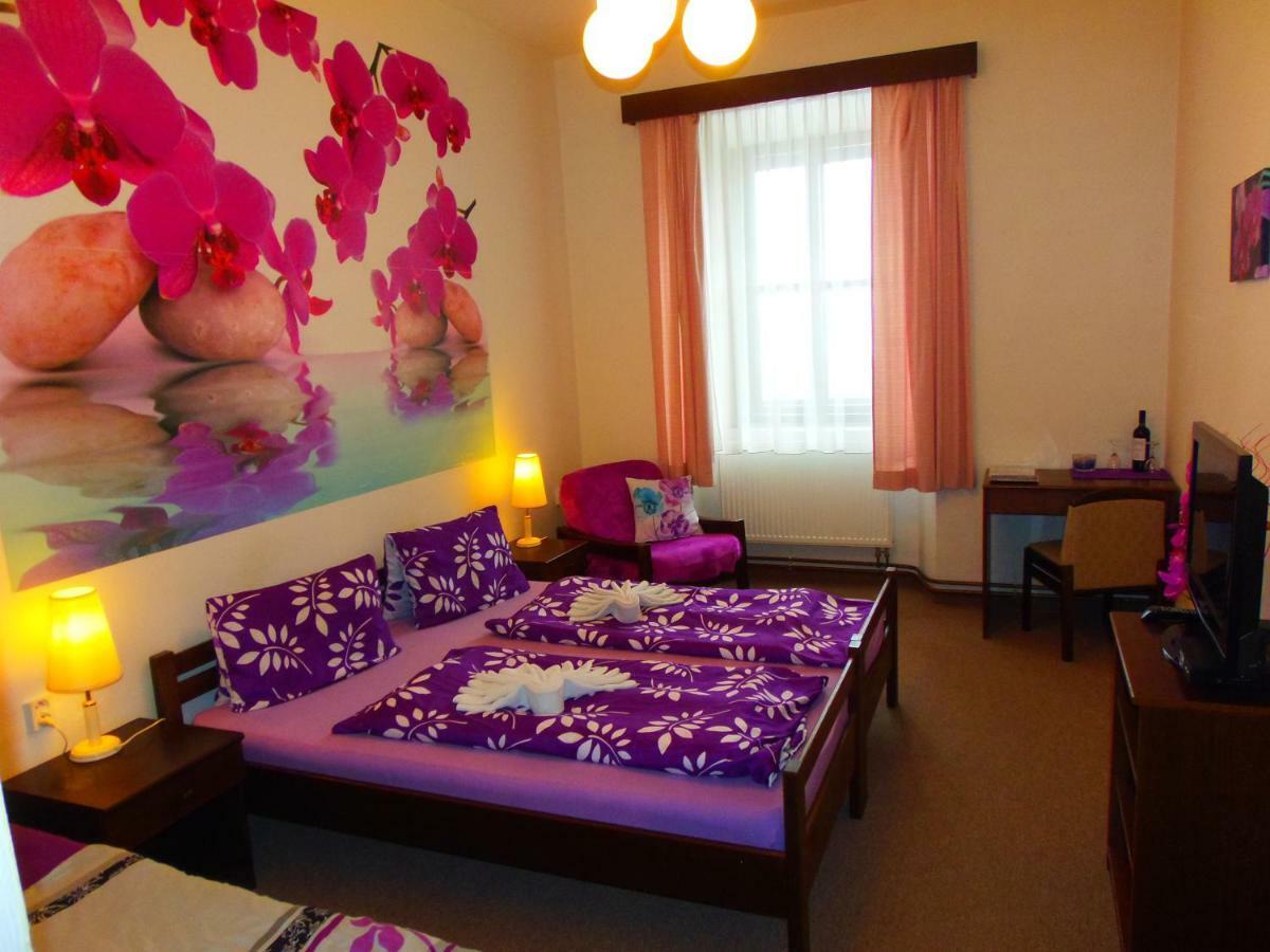 Hotel Stará škola na Šumavě Hořice na Šumavě Exteriér fotografie